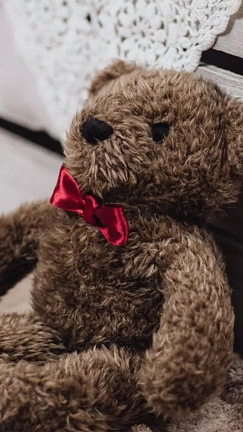 Teddy Bear Wale, Alone, Teddy Bear HD phone wallpaper