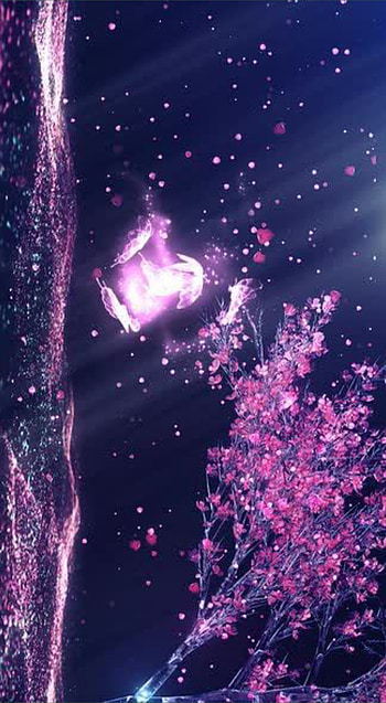 Cherry blossom, atmosphere, sakura, pink, cherryblossom HD phone wallpaper