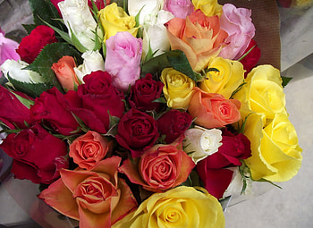 Flowers, Roses, Beauty, Bouquet, Different Colors, Different Colours HD wallpaper