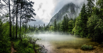 morning fog, fog, mountains, forest, lake HD wallpaper