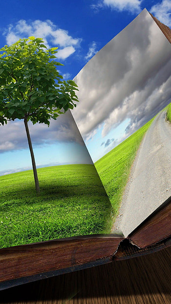 A Book of Nature, nature, tree HD phone wallpaper
