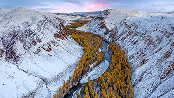 Autumn Colors in the Altai Mountains, Russia, nature, mountains, river, snow, trees, autumn HD wallpaper