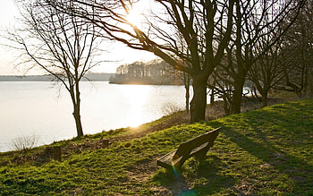Nature, Trees, Lake, Shore, Bank, Park, Bench HD wallpaper