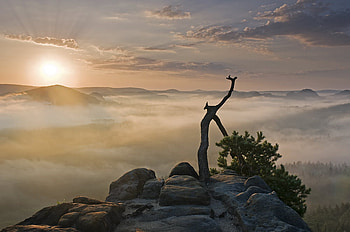 Fog, sky, sun, cloud HD wallpaper
