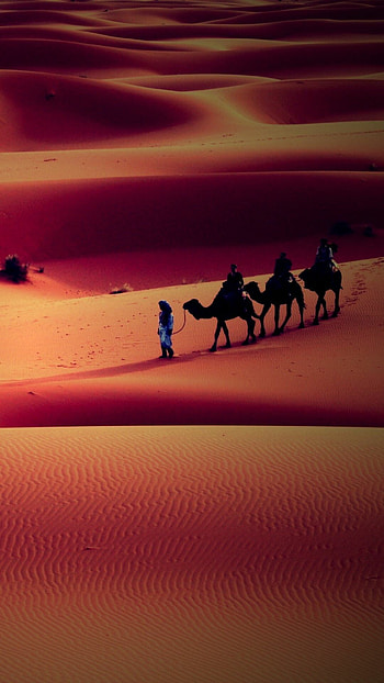 Sahara desert , Mesmerizing views HD phone wallpaper