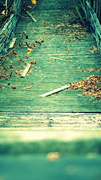 Whatsapp, Wooden Bridge, Background HD phone wallpaper