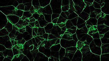 Abstract, Lines, Glow, Cracks, Crack HD wallpaper