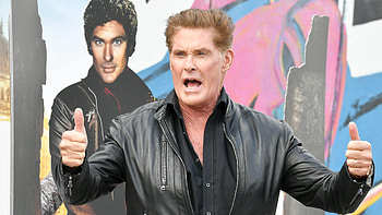 David Hasselhoff movies, Prost David Hasselhoff, Landau weinfest, Ex alcoholic HD wallpaper