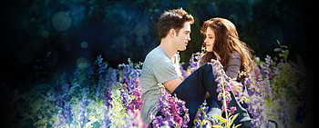 Twilight Forever, Complete saga collection, Twilight franchise, Official website HD wallpaper