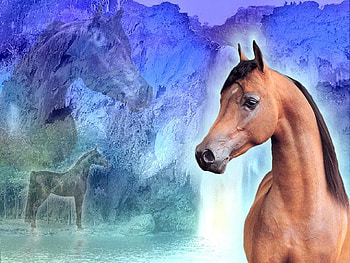 Horse Mountain/Lake, horses, arabians, nature, ponies, mountains HD wallpaper