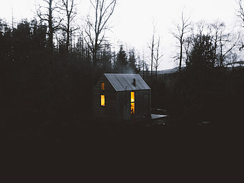 Dark, Shine, Light, Forest, Small House, Lodge, National Park, Ballater HD wallpaper