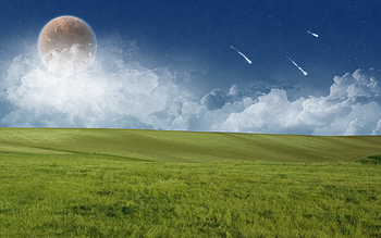 century series ambience , grass HD wallpaper