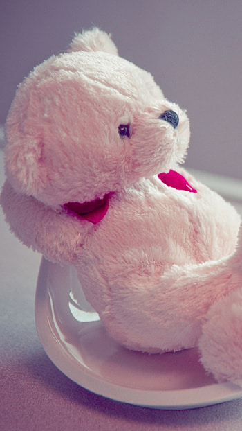 Teddy Wale, Pink, Teddy Bear HD phone wallpaper