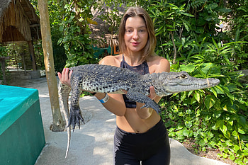 Maria Ryabushkina Posing with a Caiman, caiman, outdoors, model, brunette, smile HD wallpaper