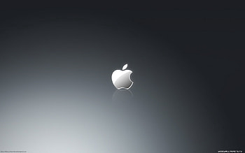 Brands, Logos, Apple HD wallpaper