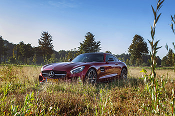 Grass, Cars, Side View, Amg, Mercedes HD wallpaper