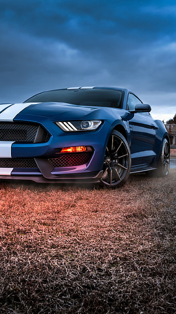 2020 Ford Mustang GT500, , Ultimate performance, Unmatched speed HD phone wallpaper