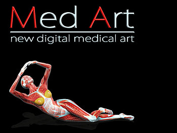 Anatomy, muscle, black, med, body HD wallpaper