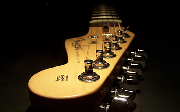 Macro, Guitar, Vulture, Darkness, Strings HD wallpaper