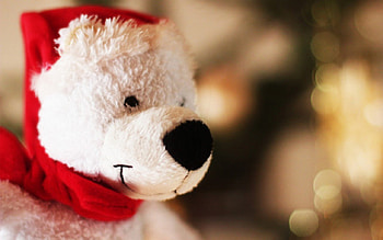 Valentine bear, graphy, beautiful, romance, gift, valentine, love, romantic, heart, valentine day HD wallpaper
