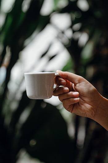 Close-up of a hand holding a coffee cup against a blurred plant background, exuding calmness and relaxation. HD phone wallpaper