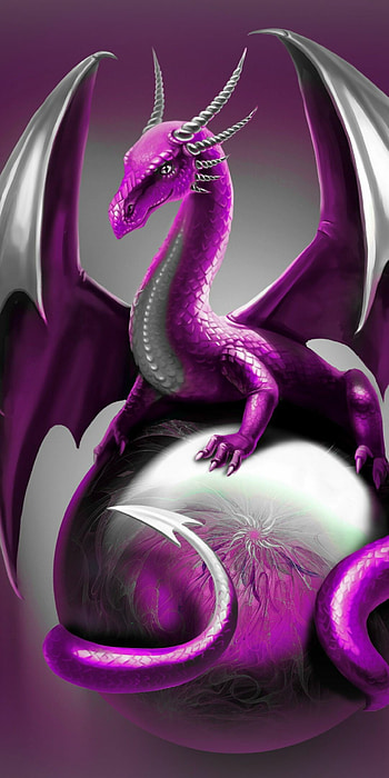 Dragon backgrounds, Best dragon, Impressive visuals HD phone wallpaper