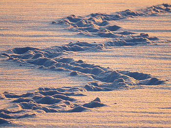 Nature, Snow, Shine, Light, Traces HD wallpaper