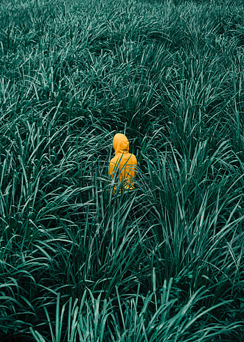 Grass, Minimalism, Stroll, Human, Person HD phone wallpaper