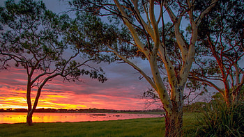 Big Swamp Parkland, Australia, landscape, colors, clouds, trees, sky, water, sunset, reflections HD wallpaper