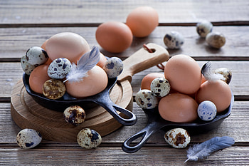 Food, Eggs, Feather, Chicken Eggs, Quail Eggs HD wallpaper
