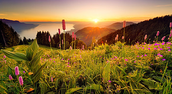 Natural landscape, rays, glow, beautiful, spring, lake, mountain, sunrise, fiery, summer, wildflowers, view, sun, sunset HD wallpaper