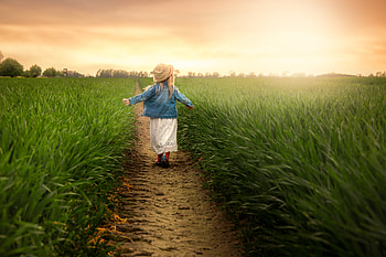 Nature, Grass, Field, Path, Stroll, Child HD wallpaper
