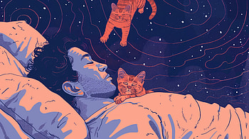 Dreamy Catnap Cosmos: the, man, sleeping, cat, pet, Dreams HD wallpaper