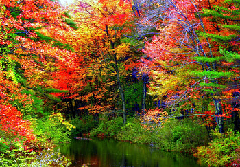 -Autumn River-, colorful, graphy, attractions in dreams, fall, colors, beautiful, autumn beauty, creative pre-made, landscapes, love four seasons, leaves, trees, autumn, nature, rivers, stunning HD wallpaper