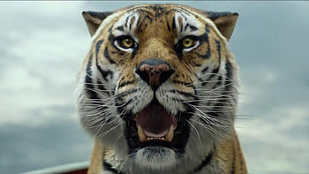 Tiger, animal, lifeofpi, movie HD wallpaper