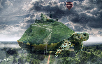 Turtle island, island, house, ladder, grass, rocks, turtle, 3d, animals, clouds, sky HD wallpaper