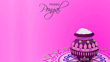 Happy Pongal Light Purple Background Pongal HD wallpaper