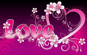 Pink, Love, Inscription, Confession HD wallpaper