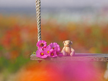 Visitor in the Swing, garden, flowers, teddy, blossoms HD wallpaper