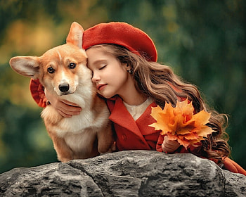 i love my dog, dogs, love, child, animals HD wallpaper
