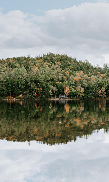 Nature, Trees, Sky, Lake, Reflection, Forest HD phone wallpaper