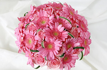 Flowers, Roses, Pink, Gerberas, Bouquet, Tenderness HD wallpaper