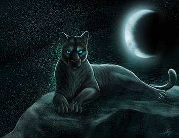 Fantasy, Animal, Moon, Moonlight, Night, Panther, Starry Sky, Stars, Fantasy Animals HD wallpaper