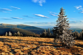 Nature, Trees, Grass, Sky, Mountains, Autumn HD wallpaper
