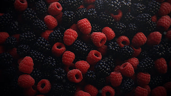 Blackberry, Juicy berries, Fruity delights, Background HD wallpaper