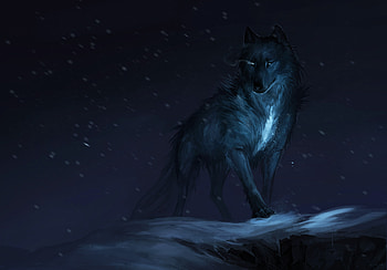 Wolf Drawing, wolf, fantasy, artist, artwork, digital-art, deviantart HD wallpaper