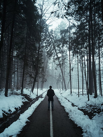 A person stands alone on a foggy forest path in winter, creating a moody atmosphere. HD phone wallpaper