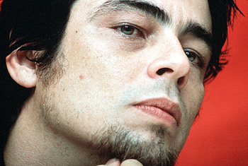 Benicio Del Toro, Fandom tribute, Talented artist, Dedicated fanbase HD wallpaper
