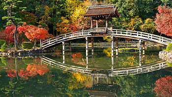 Pagoda, bridge, japanese garden, pond HD wallpaper