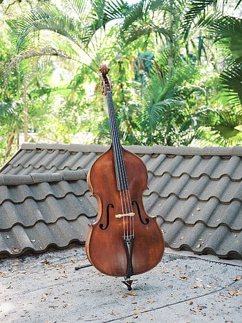 1969 John Juzek double bass, Miami String Haus, Vintage instrument, Rich heritage HD phone wallpaper